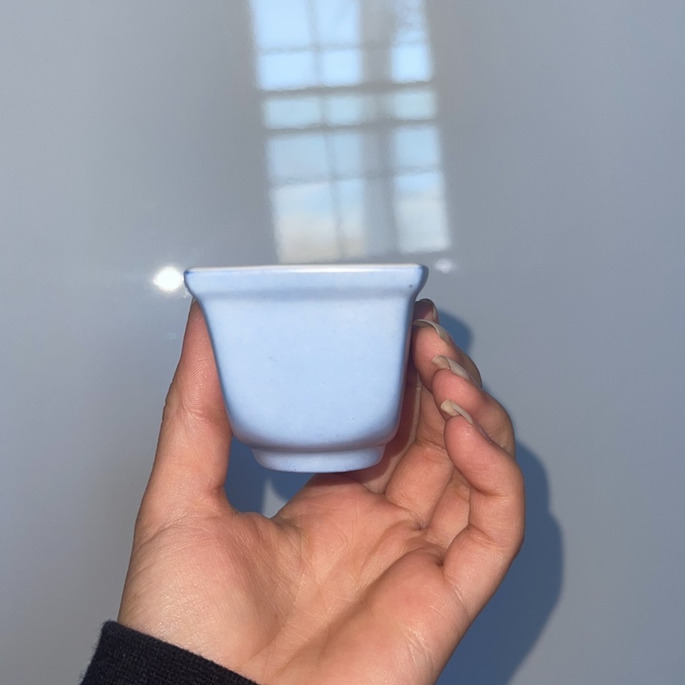 Teacup - Picture 5 of 7